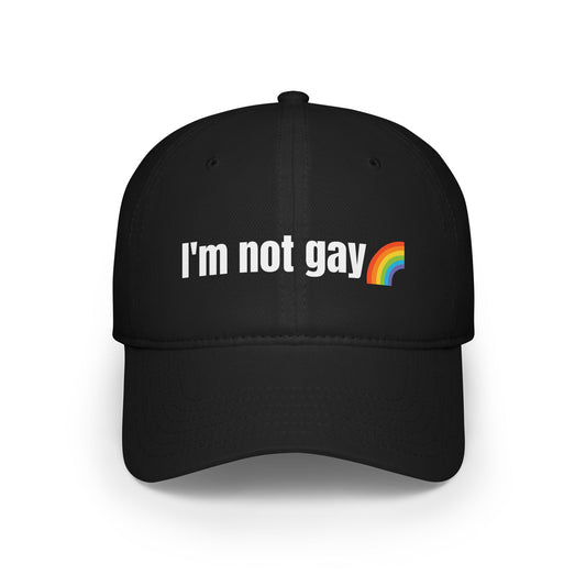 I'm not gay baseball cap